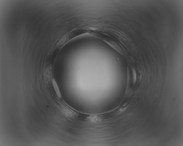 X0000052980425200507081128
