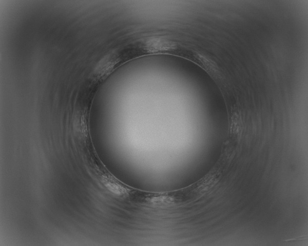 X0000052980426200507081128