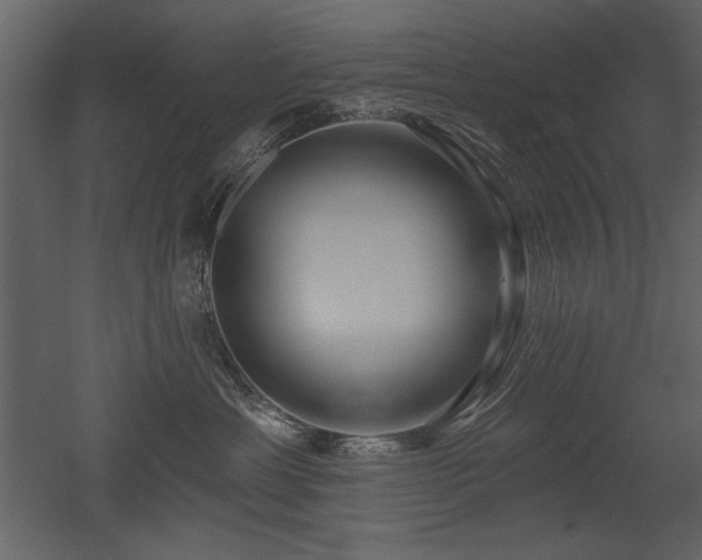 X0000052980429200507081128