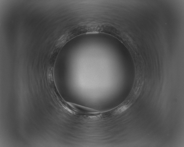 X0000052980432200507081128