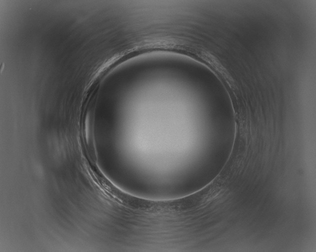 X0000052980434200507081127