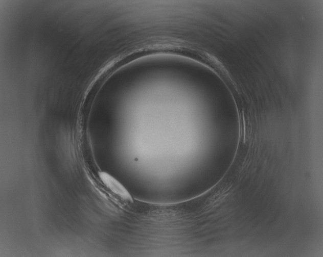 X0000052980435200507081127