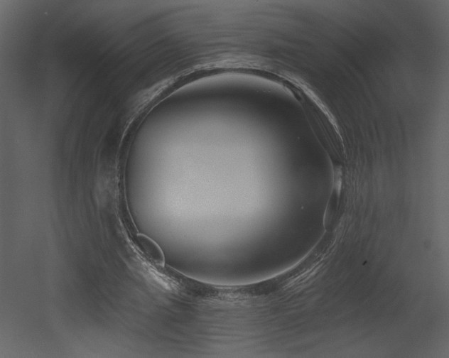 X0000052980437200507081127