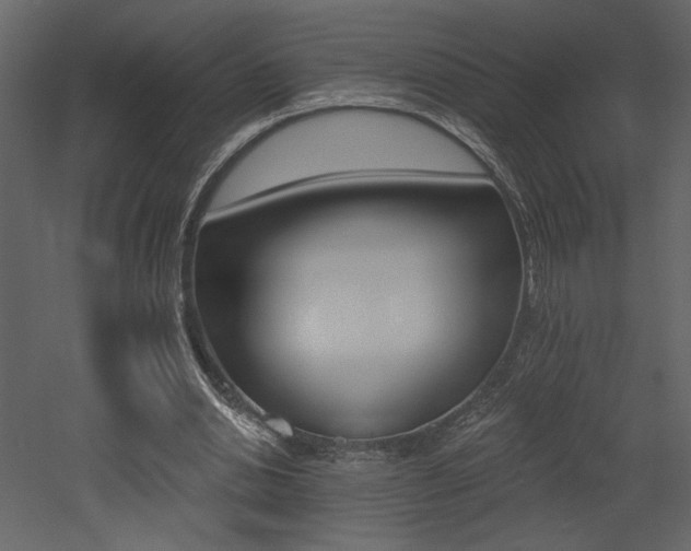 X0000052980438200507081127