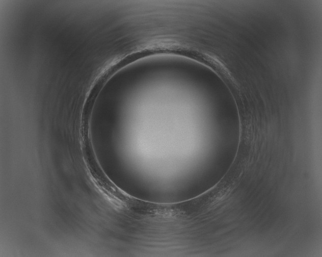 X0000052980439200507081127
