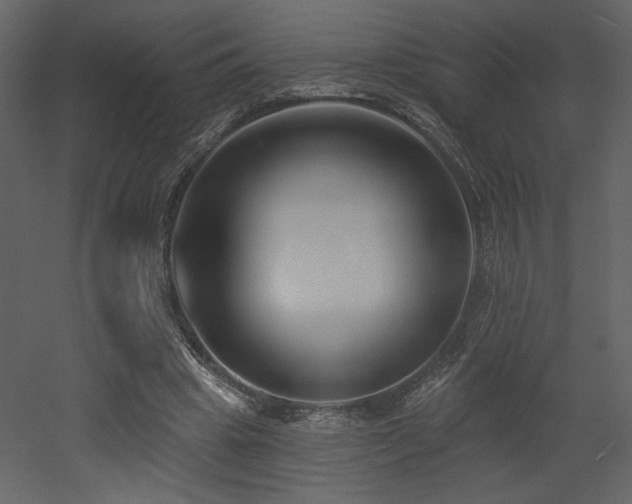X0000052980441200507081127
