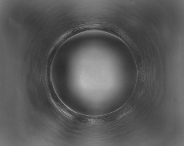 X0000052980442200507081127