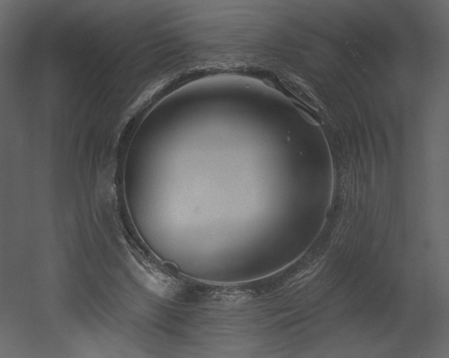 X0000052980443200507081127