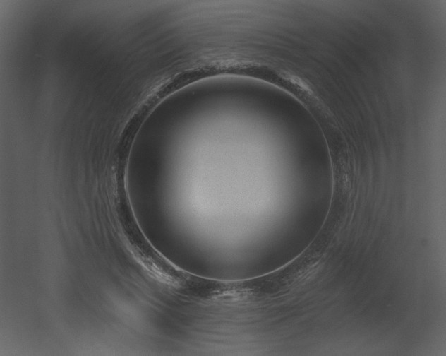 X0000052980447200507081127