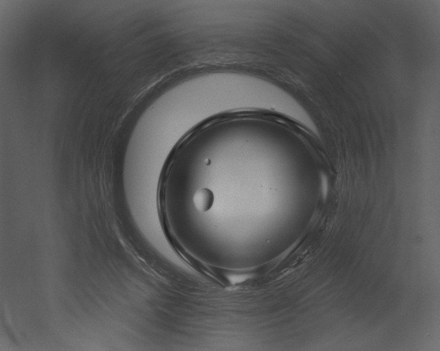 X0000052980448200507081127