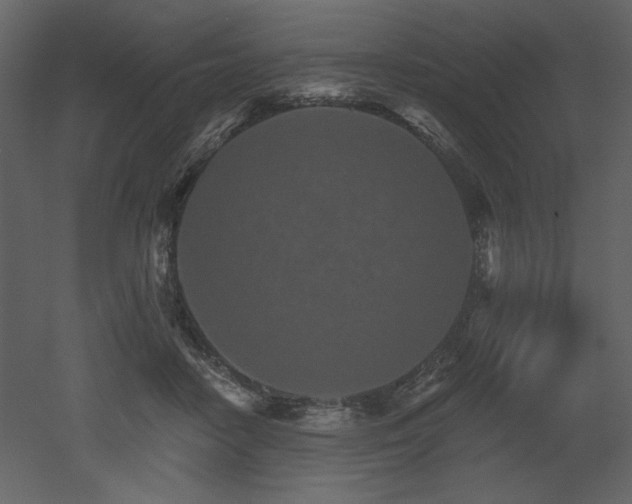 X0000052980458200507081127