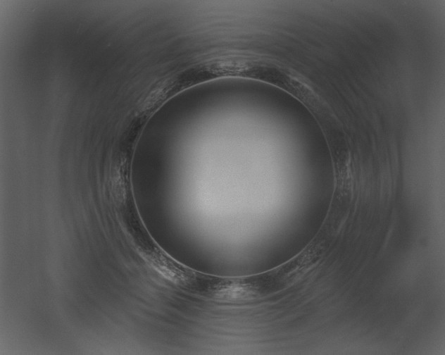 X0000052980460200507081127