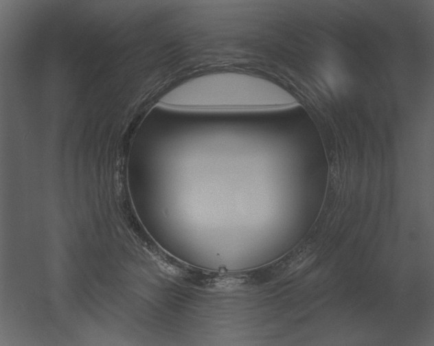 X0000052980462200507081127