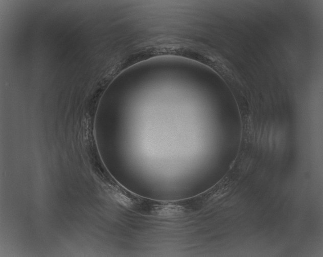 X0000052980463200507081127