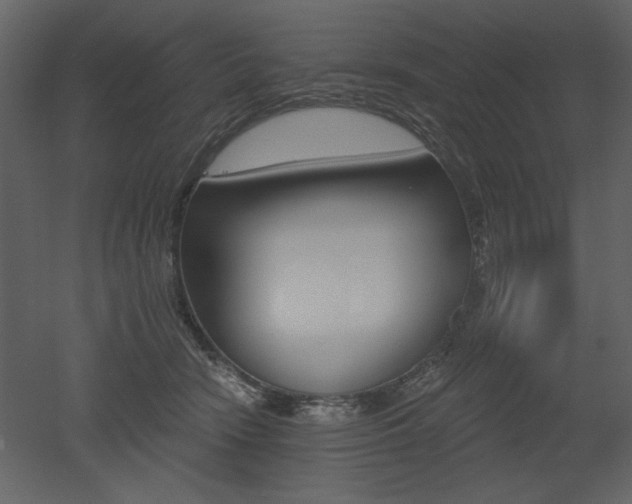 X0000052980466200507081127