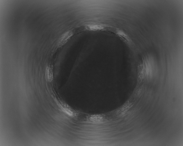X0000052980471200507081127