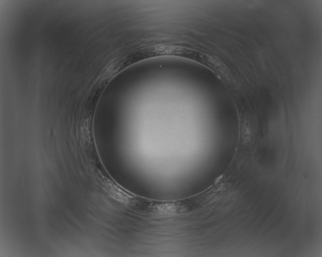 X0000052980473200507081127