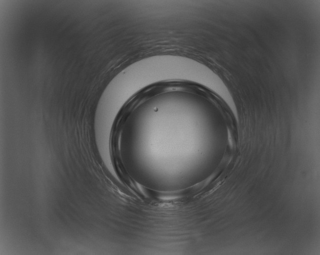 X0000052980475200507081127