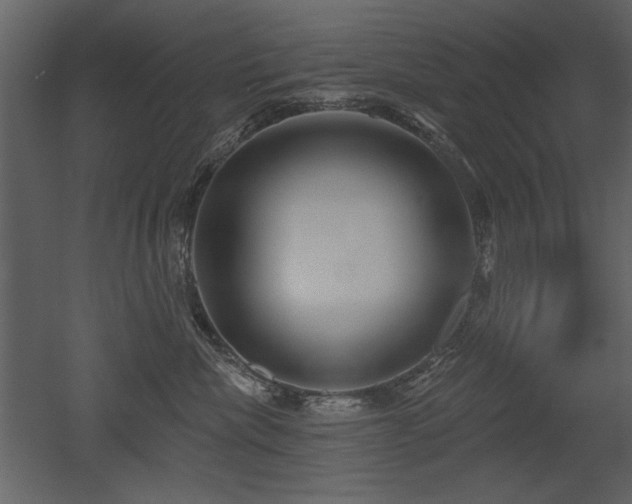 X0000052980476200507081127