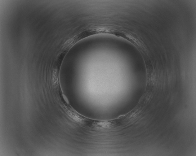 X0000052980478200507081127