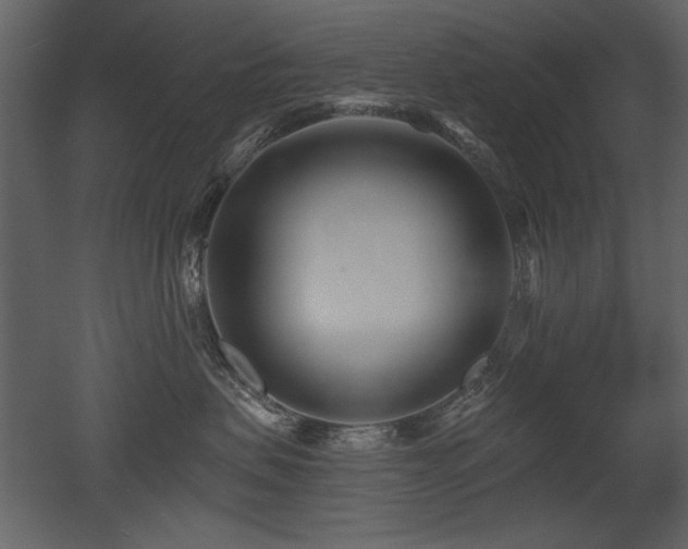 X0000052980479200507081127
