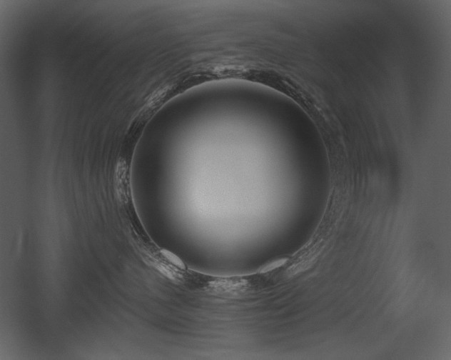 X0000052980480200507081127