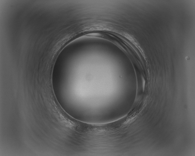 X0000052980481200507081127