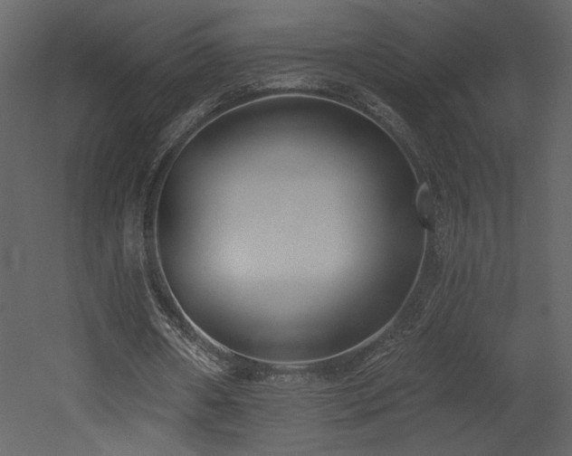 X0000052980482200507081127