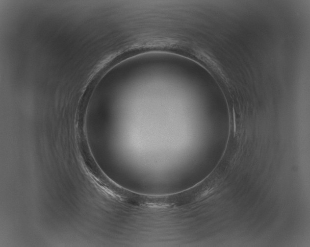 X0000052980483200507081127