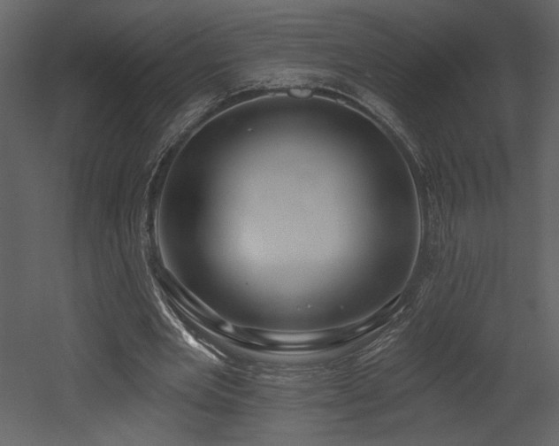 X0000052980485200507081127