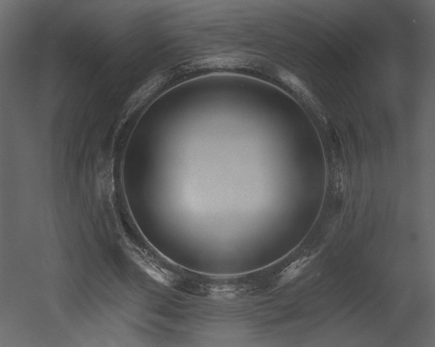 X0000052980486200507081127