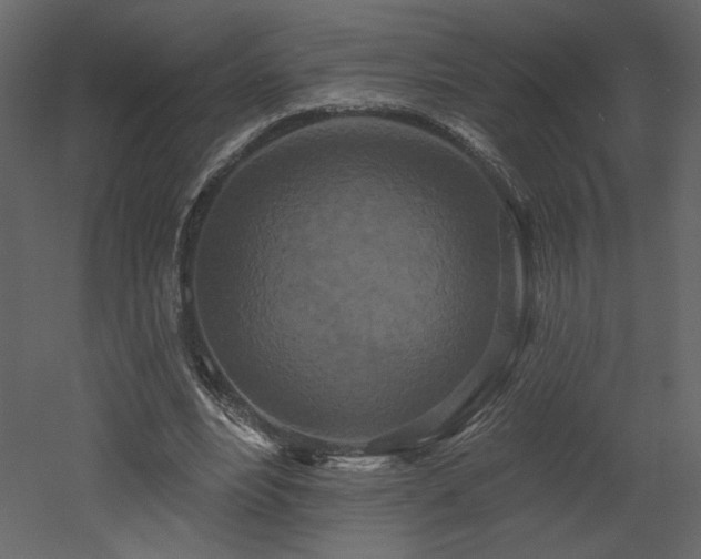 X0000052980488200507081127