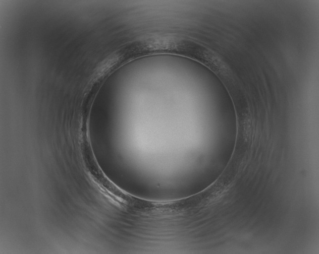 X0000052980490200507081127