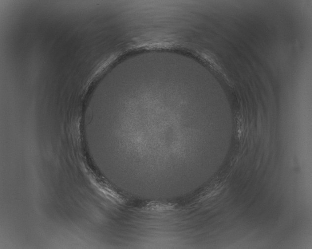 X0000052980491200507081126
