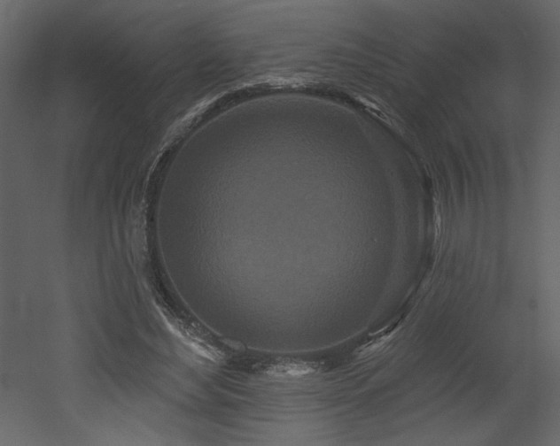 X0000052980492200507081126