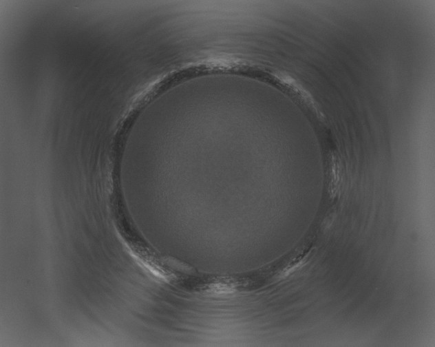 X0000052980496200507081126