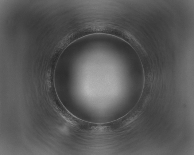 X0000052980497200507081126