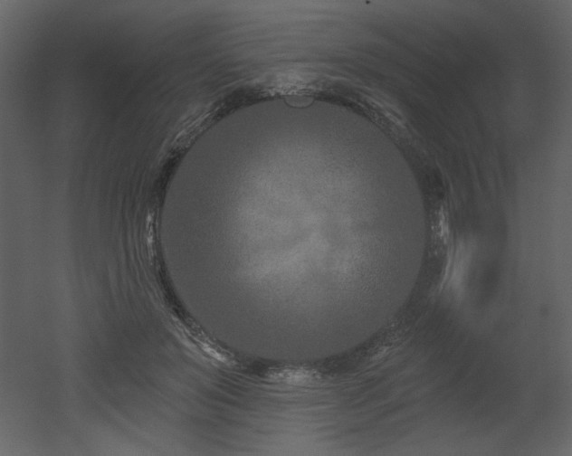 X0000052980503200507081126