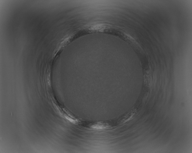 X0000052980504200507081126
