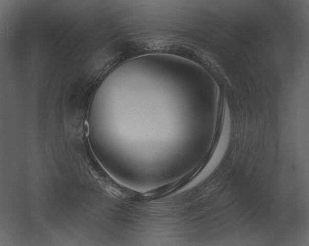X0000052980505200507081126