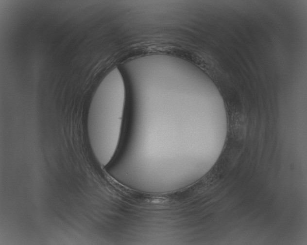 X0000052980506200507081126