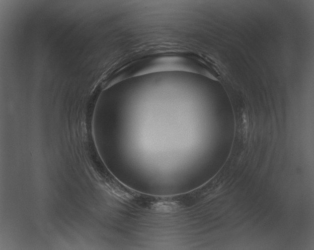 X0000052980508200507081126