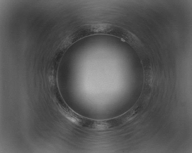X0000052980510200507081126