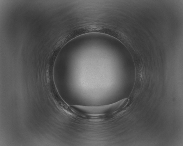 X0000052980512200507081126