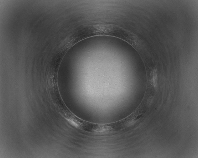 X0000052980514200507081126