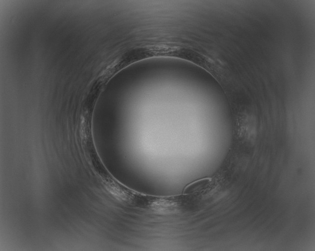 X0000052980515200507081126