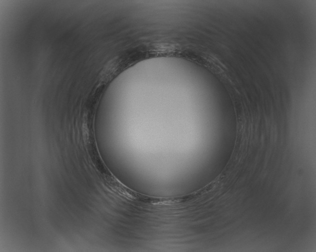 X0000052980516200507081126