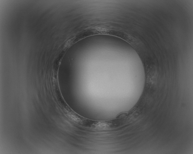 X0000052980518200507081126
