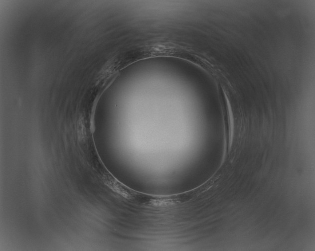 X0000052980520200507081126