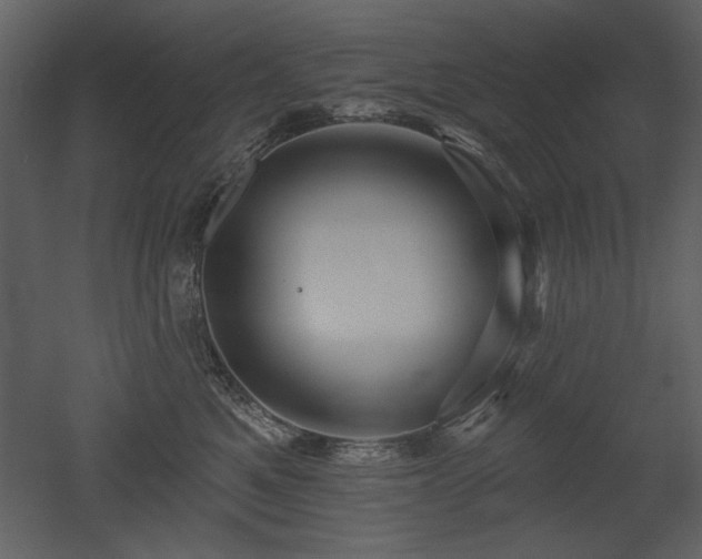 X0000052980521200507081126